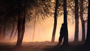 hombre apoyado en arbol nen atardecer